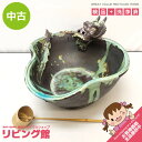 【中古】 陶器製 手水鉢 龍モチーフ グリーン系 茶道具 水鉢 つくばい 柄杓付 露地道具 緑 竜 睡蓮鉢 金魚鉢 ビオトープ 和風 インテリア 手水鉢 中古