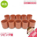 【中古】 常滑焼 湯呑茶碗 10客セット 竹模様 朱泥 赤土 茶器 茶道 和食器 陶器 焼物 お茶 ゆのみ 小ぶり レトロ 常滑焼 中古