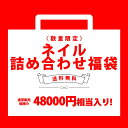 48000円相当入り ネイル福袋 LED UVライト ジェルネイル ネイルキット スターターキット ネイルアート ポリジェル 熊野筆 カラージェル