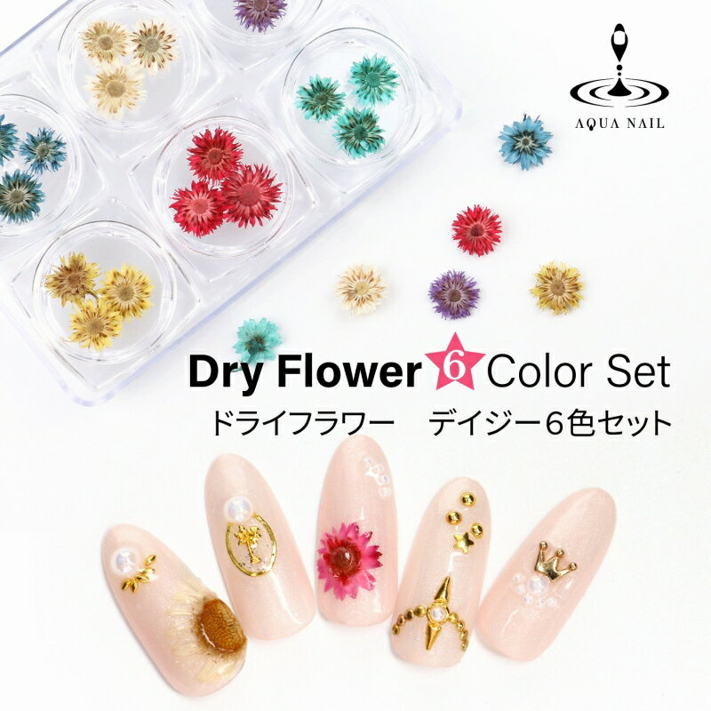 ドライフラワー 押し花 デイジー 6色セット【ネイル 押し花 デコ レジン 押し花 ハーバリウム】