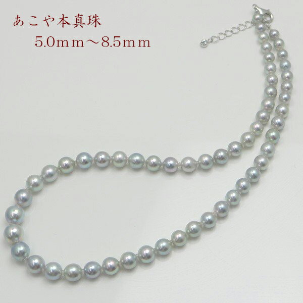 真珠 パール ネックレス あこや真珠 パールネックレス 5mm-8.5mm ブルーグレーカラー グラデュエーション デザイン シルバー アコヤ本真珠 冠婚葬祭 葬式 法事 カジュアルのサムネイル