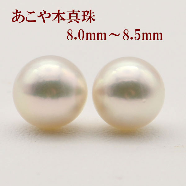  ԥ  ѡ ڥ 롼 俿 ܿ 8mm-8.5mm ۥ磻ȥ顼 å γ  ե...