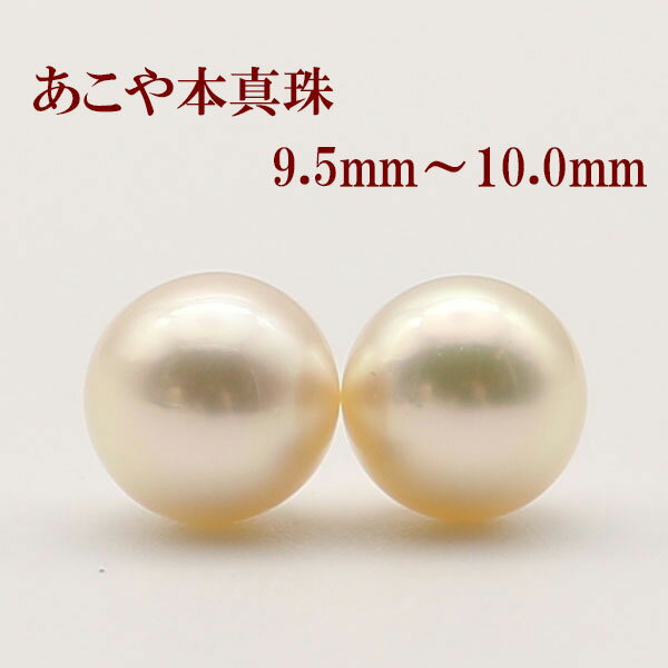  ԥ  俿 ѡ ڥ 롼 9.5mm-10mm γ  ۥ磻ȥ顼 ܿ å γ...