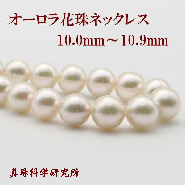 【5,500,000円→2,750,000円】【全品ポイント10倍】 花珠真珠 ネックレス あこや真珠 パール ネックレス 10mm-10.9mm ホワイトカラ...
