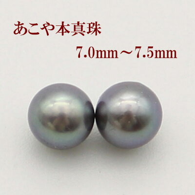 真珠 ピアス イヤリング パール ペアー あこや真珠 アコヤ本真珠 7mm-7.5mm パールルース ブルーブラックカラー 黒真珠 スタッド 一粒 フォーマル 冠婚葬祭 葬儀 法事 葬式