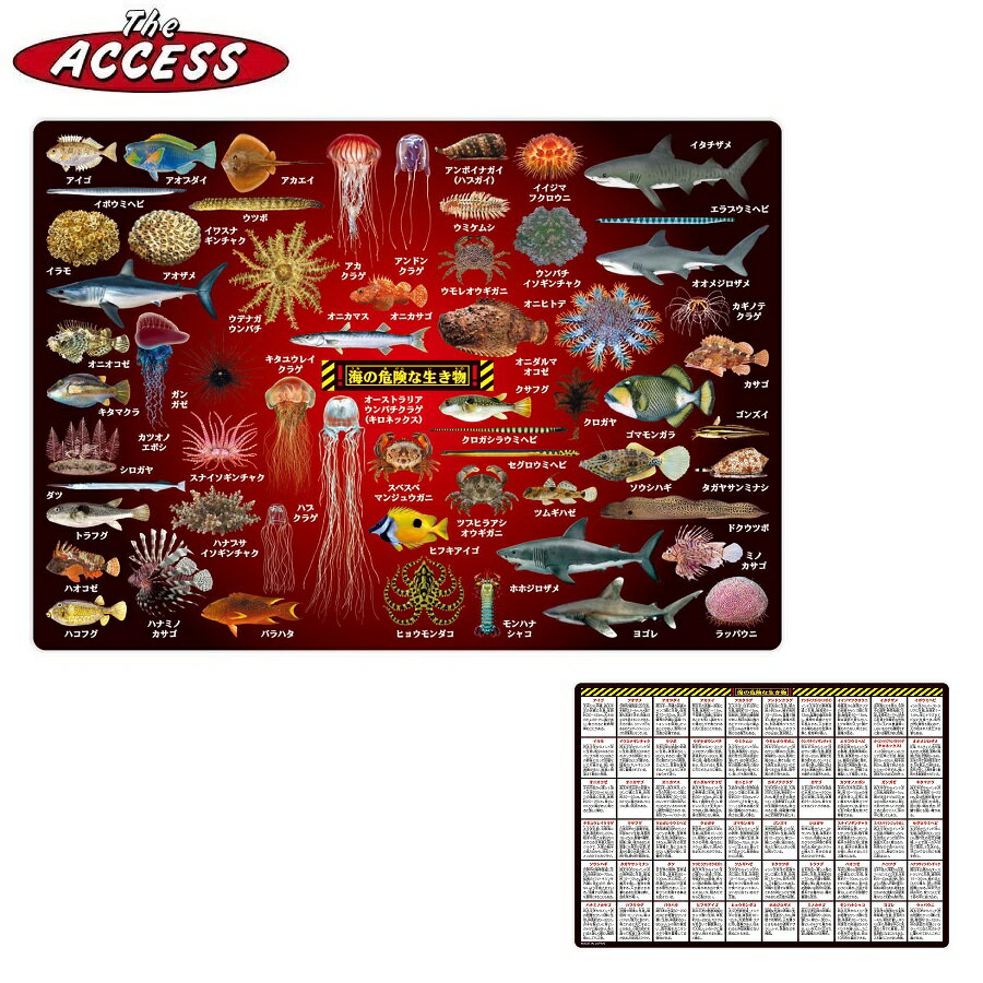 楽天アルマジロ 楽天市場店下敷き 下じき したじき 図鑑 A4 くらげ 鮫 ザ・アクセス 海の危険な生き物