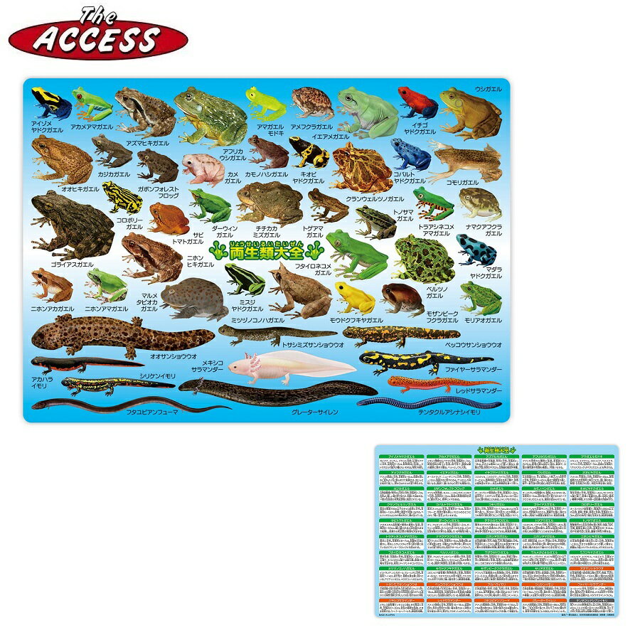 下敷き 下じき したじき 図鑑 A4 サメ 鮫 ザ・アクセス 両生類大全