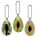 SCORPION/DROP KEYCHAIN サソリキーホルダー 選べる3種類