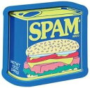 RUBBER TRAY SPAM BRAND CAN スパム 缶 ラバートレイ コイントレイ