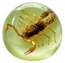 SCORPION/DROP PAPER WEIGHT ペーパーウェイト 選べる2種類