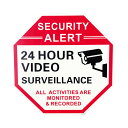 SECURITY SIGN / OCTAGON セキュリティ看板 蓄光 オクタゴン