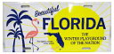 CM PLATE CMプレート FLORIDA フラミンゴ フロリダ