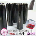 実印 女性 無垢黒水牛 個人 印鑑 2本セット 実印 銀行印 セット ケース付き 13.5mm + 12mm丸 【 女性用 印鑑 2本セット 】 実印セット 印鑑セット 女性 結婚 レディース 成人式 結婚 贈答 贈り物 出産 祝い 御祝 お祝 ギフト 姓名 フルネーム 判子 新社会人 成人