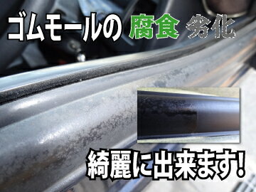 楽天市場 ゴムモール雨染み ゴムモール腐食 業務用カーピカル ゴムモール磨き 100g 窓枠劣化 ゴムモール劣化 窓枠ゴム 窓枠ゴム汚れ 窓枠ゴムコケ ゴムパッキン 水切りモール コケ 汚れ ゴムモール劣化 ゴムモール汚れ モールコケ モール汚れ 洗車グッズ カーピカル