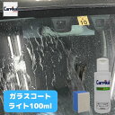 業務用 カーピカル ガラスコーティングライト 100ml フロントガラス撥水 撥水コート 撥水コーティングフロントガラスコーティング ガラス撥水剤 ウィンドウコーティング剤 ガラス撥水