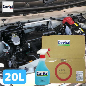 【送料無料 業務用強力洗浄クリーナー 20L 】 グリス汚れ カーペット汚れ ダッシュボード汚れ タイヤ洗浄 車内清掃 オイル汚れ エンジンルーム汚れ ダッシュボート汚れ ルームクリーニング エンジンクリーナー