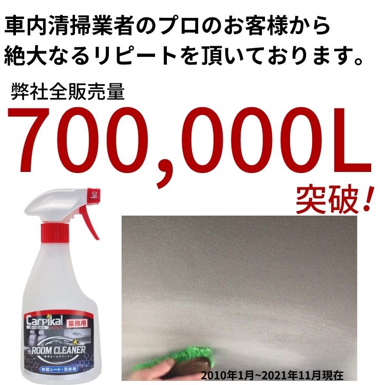 ルームクリーナー施工2