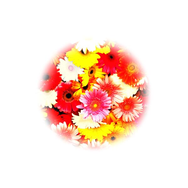 ��2���ॻ�åȡۥ����������� ���饲���Х��ץ�������������������⤫�٤ƥ�饯��������������