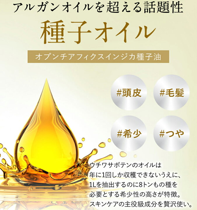 サンプル画像3