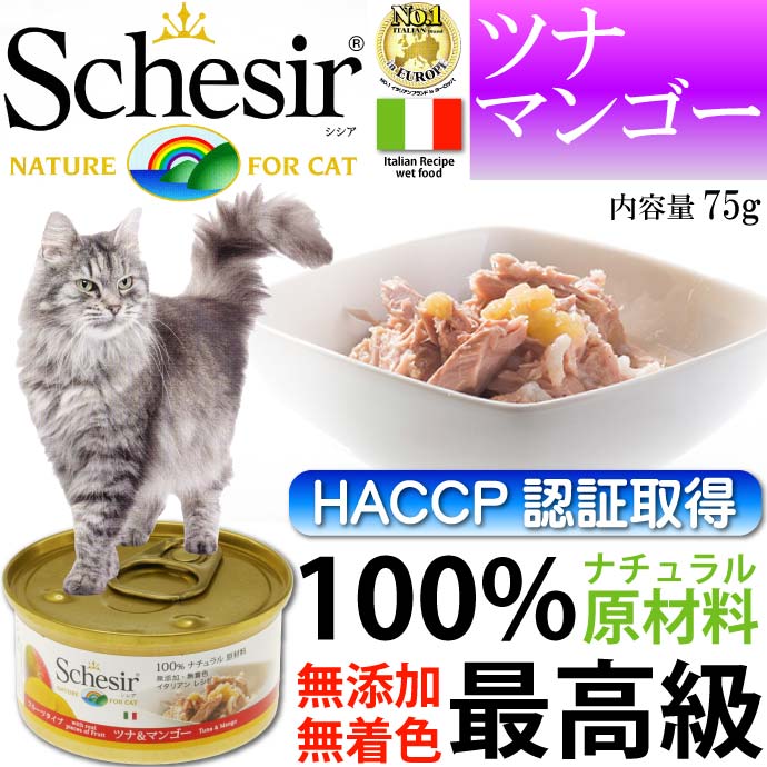 送料無料 Schesir シシア 猫缶 キャットフード ツナ&マンゴー75g 無添加無着色 キャットフード 最高級キャットフード 猫缶キャットフード Fa10015