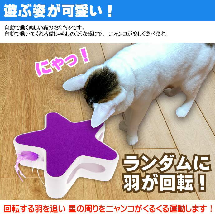 猫のおもちゃ ファンタジーペンタグラム 紫 B...の紹介画像3