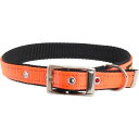首輪 犬用 ファープラスト デュアルCF 橙 首回45〜53cm ペット用品 ferplast DUAL COLOURS Fa385