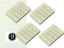 20連FLUXLEDルームランプT10×31mmBA9S(G14)レッド4個 綺麗な光LEDルームランプ 明るいLED ルームランプ 爆光LEDルームランプ a...