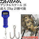 ǥ륹 25 ¬25kg ñӼ DAIWA  ӥ  η¬ǽ Ks178