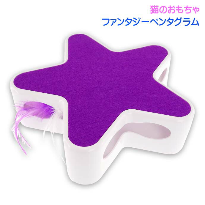 猫のおもちゃ ファンタジーペンタグラム 紫 BT...の商品画像