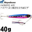 JACKEYE ハイパーぶっ飛び目立ち屋ジグジャックアイエース FS415 ケイムラブルピンイワシ 40g メタルジグ Hayabusa ハヤブサ Ks1700