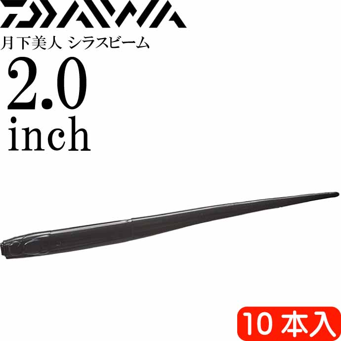  饹ӡ ֥å 2.0inch 10 DAIWA   饤ȥ  Ks2184