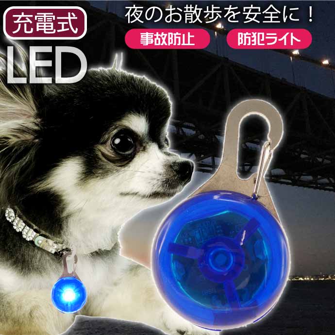 楽天ASE WORLDお散歩LEDライト 充電式 首輪用 防犯ライト ブルー 光るLED首輪ライト セーフティライト ペット用品 Rk288