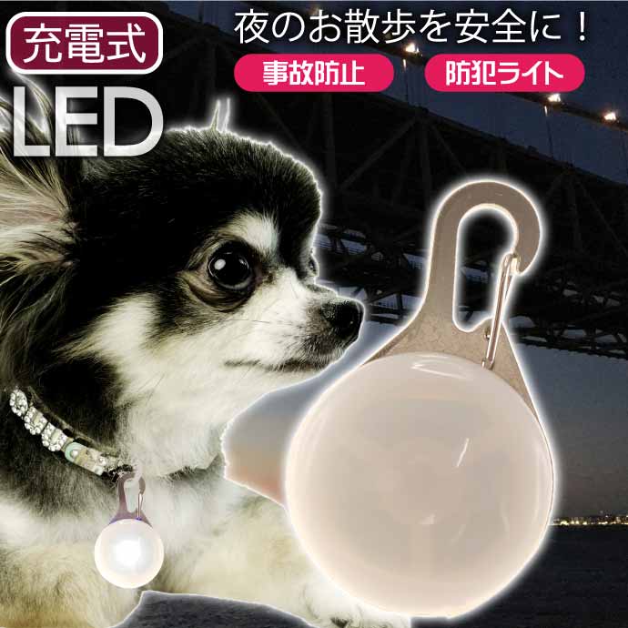 LED饤 ż  ȥ饤 ۥ磻 LEDإ饤 եƥ饤 ڥå Rk289