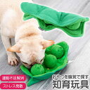 ペットおもちゃ 知育玩具 トイ エンドウ豆ぬいぐるみ おやつ トリーツを手 口を使って取り出す えんどう豆おもちゃ Rk355