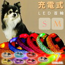 光る 首輪 充電式LED ヒョウ柄 S or M 発光 夜間散歩 犬 ペット用品 事故防止 安全対策 LED