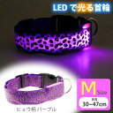 光る 首輪 充電式LED パープルヒョウ柄 M 首周30〜47cm 発光 夜間散歩 犬 ペット用品 事故防止 安全対策 LED Rk395