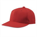 [DESCENTE]fTg싅AJLbv(C5000)(RED)bh