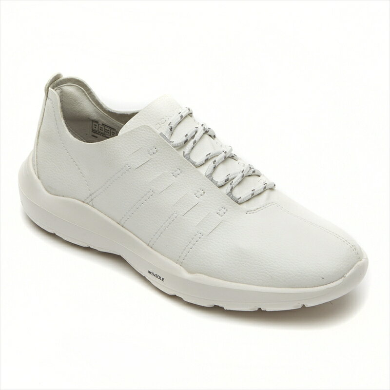 [ROCKPORT]åݡȥ󥺥饤ե륷塼TF M EVO Triple Lace(CJ1891)WHITE/WHT OS