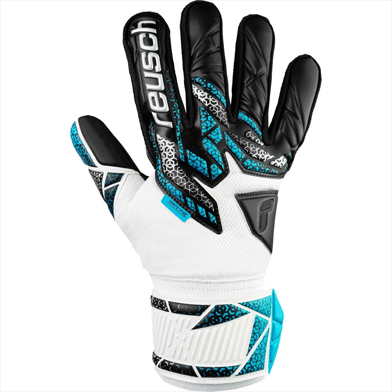 [reusch]奭ѡ֥ȥ饯 С(5560215)(1125)ۥ磻/С/֥å