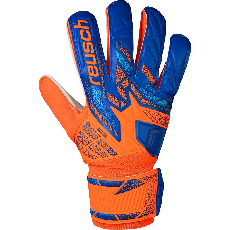 [reusch]奭ѡ֥ȥ饯 å(5560515)(2290)å󥰥/֥롼