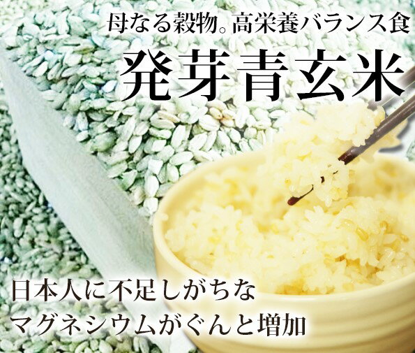 発芽青玄米 900g 福岡県産 雑穀 雑穀米 食物繊維 マグネシウム 青玄米 国産 発芽玄米