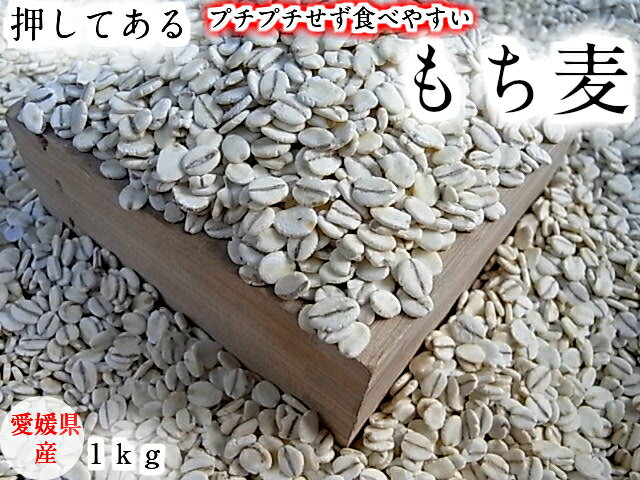もち麦 （押し） 1kg 愛媛県産 白い