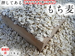 もち麦 （押し） 1kg 愛媛県産 白いもち麦 オリジナル　雑穀米 ダイエット 国産 大麦 もちむぎ 食物繊維 押してある もっちり ご飯 健康 美肌効果 穀物 低カロリー 美肌 簡単 もちもち ダイエット効果 食品 もち麦ごはん 愛媛県 おいしい 国内産 1キロ βグルカン モチ麦