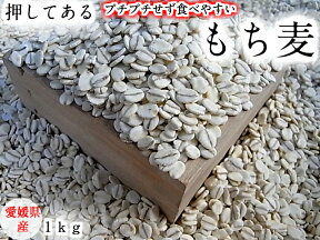 もち麦 （押し） 1kg 愛媛県産 白いもち麦 オリジナル　雑穀米 ダイエット 国産 大麦 もちむぎ 食物繊維 押してある もっちり ご飯 健康 美肌効果 穀物 低カロリー 美肌 簡単 もちもち ダイエット効果 食品 もち麦ごはん 愛媛県 おいしい 国内産 1キロ βグルカン モチ麦