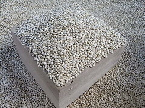 キヌア オーガニック/20kg ボリビア産 送料無料//ダイエット 食品/雑穀米/健康 食品/スーパーフード/穀物/送料無料