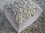 発芽青玄米 1kg 福岡県産 雑穀 雑穀米 食物繊維 マグネシウム 青玄米 国産 発芽玄米