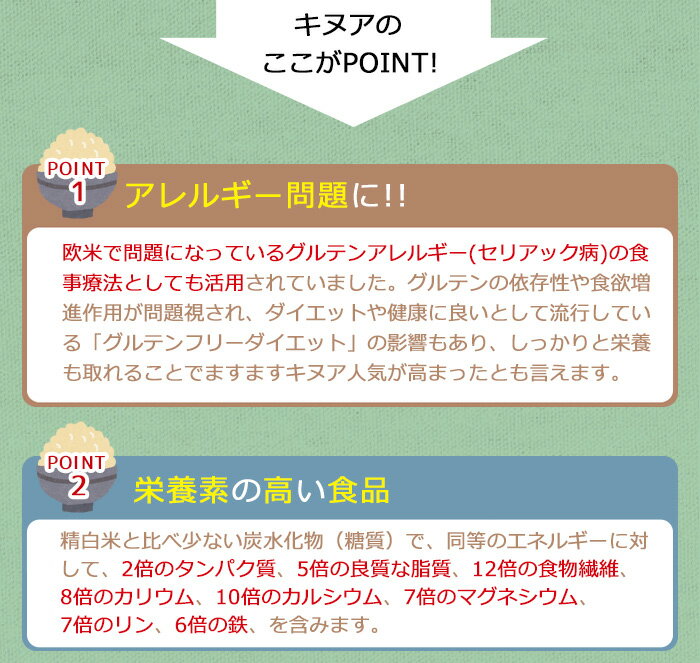 キヌア　オーガニック/キヌア　送料無料/20kg/ダイエット　食品/雑穀米/健康　食品/スーパーフード/穀物/送料無料