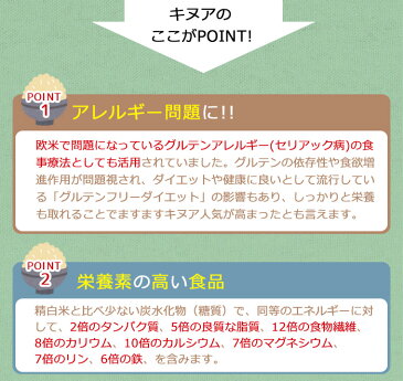 キヌア　オーガニック/キヌア　送料無料/20kg/ダイエット　食品/雑穀米/健康　食品/スーパーフード/穀物/送料無料