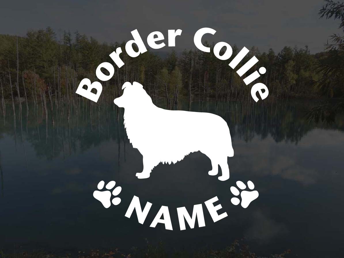 [犬のステッカー]『DOG STICKER』 名前入りドッグステッカーボーダーコリー(Lサイズ)