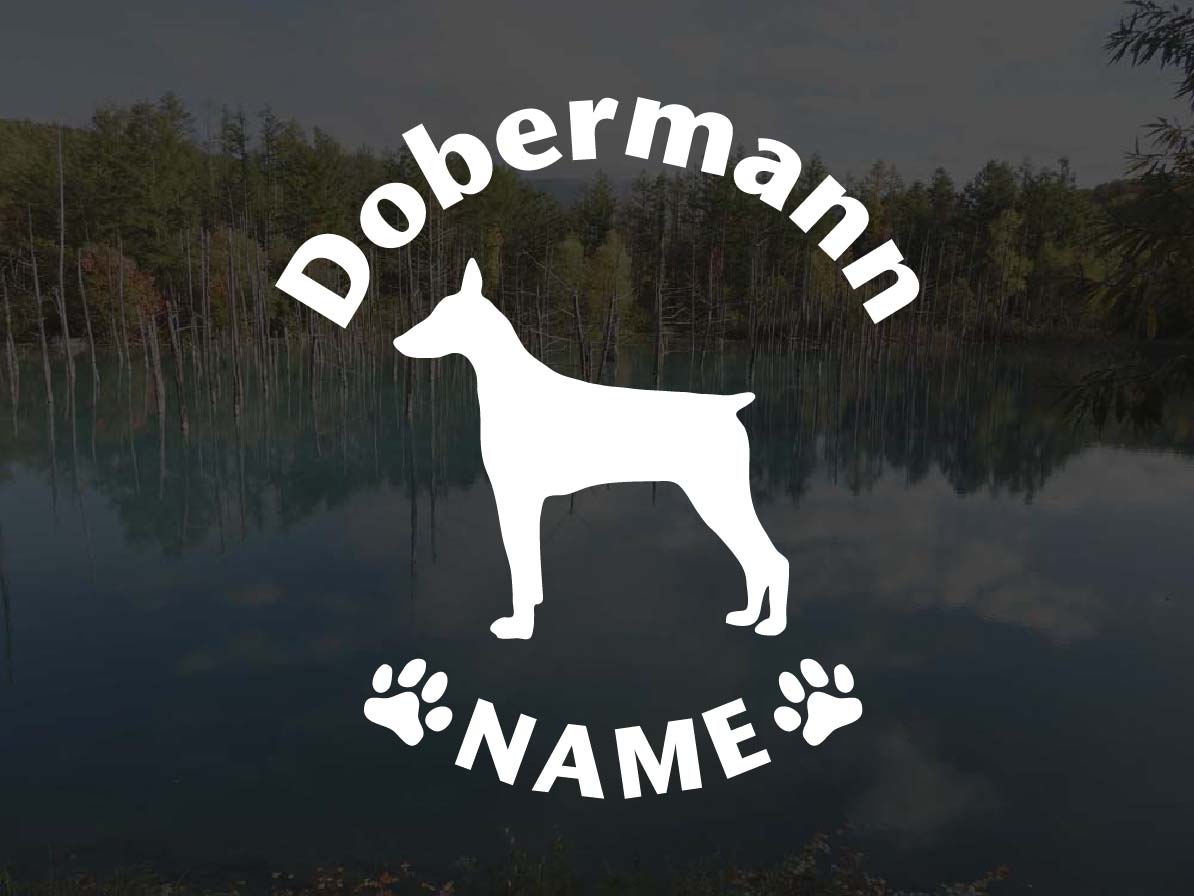 [犬のステッカー]『DOG STICKER』名前入りドッグステッカードーベルマン (Lサイズ)